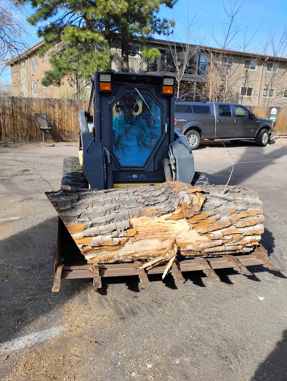 Fire mitigation clearing work in Colorado's foothills