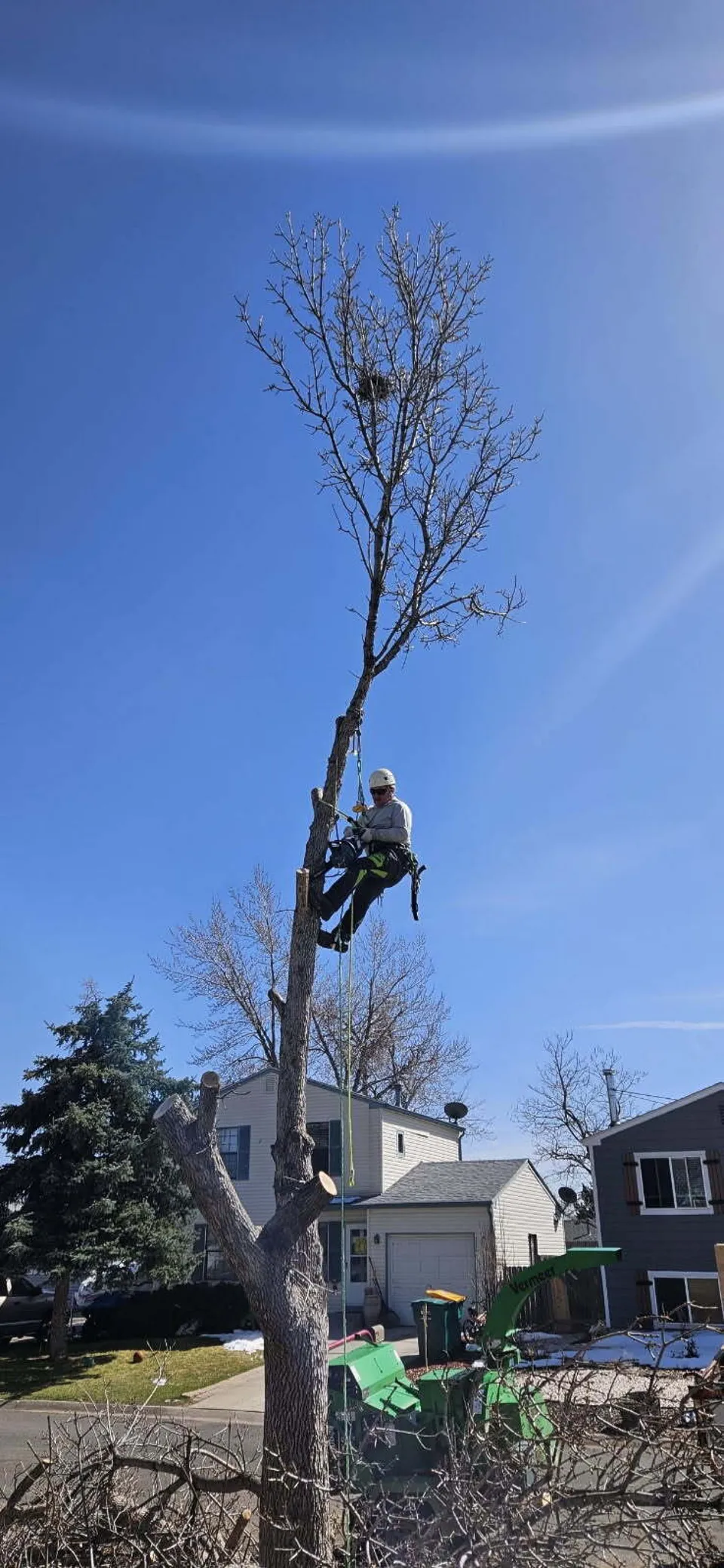 Alpenglow climber topping a dead tree high above the roofline during removal