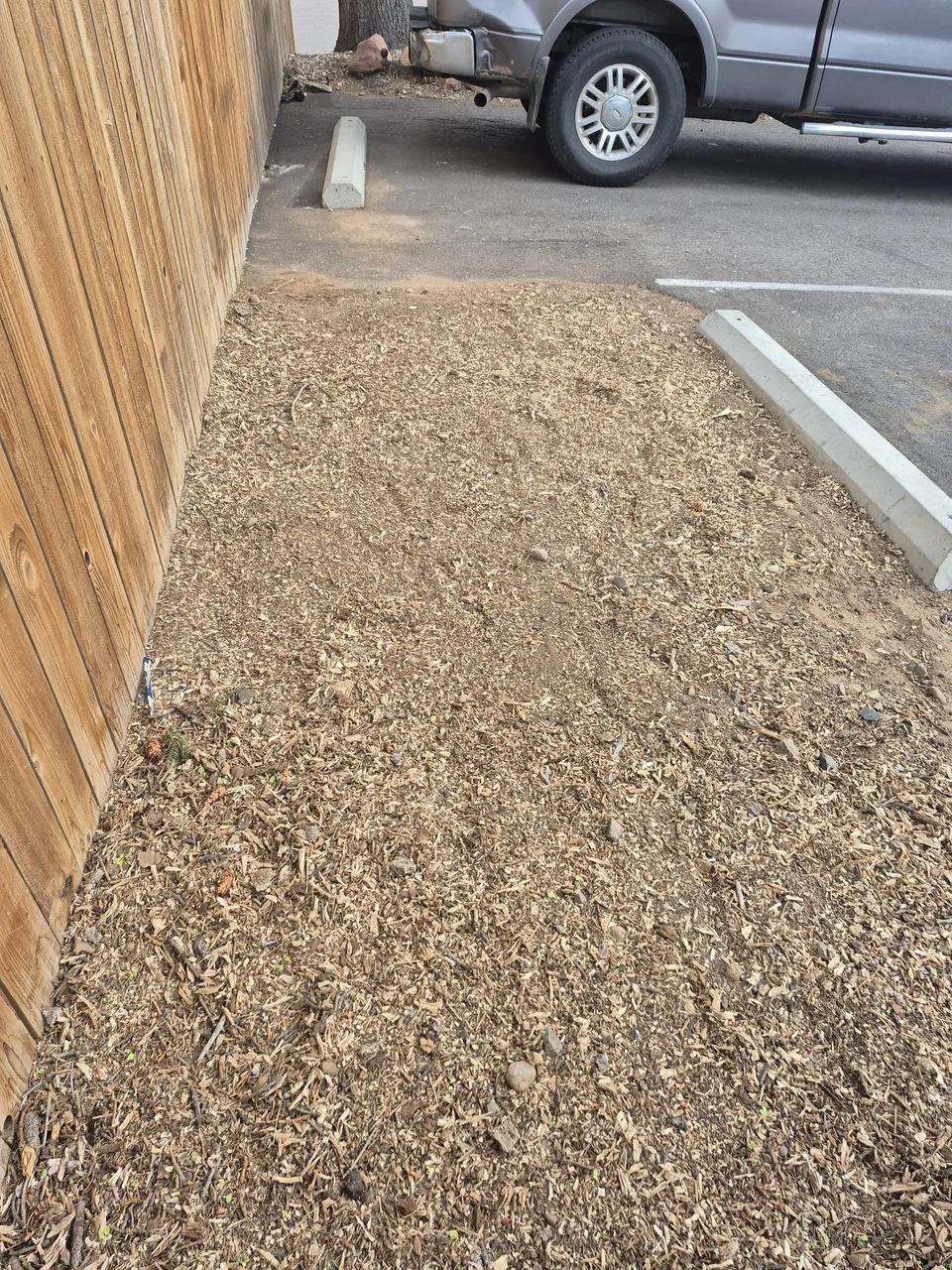 Closeup of stump grinding equipment