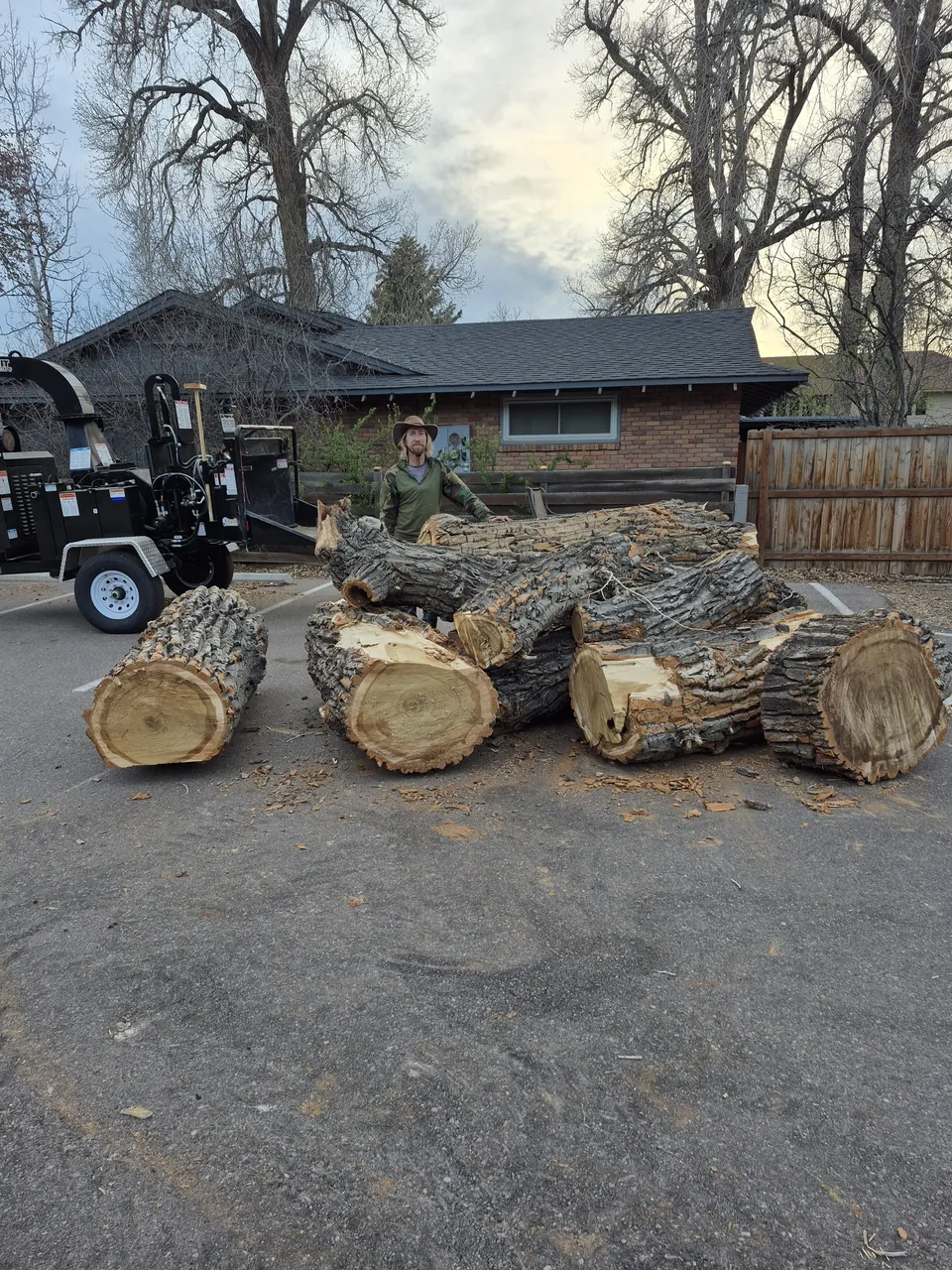 Forest thinning for fire mitigation in Colorado