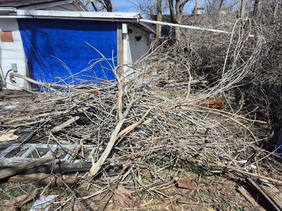Tree service crew trimming a large tree in a Thornton, Colorado neighborhood