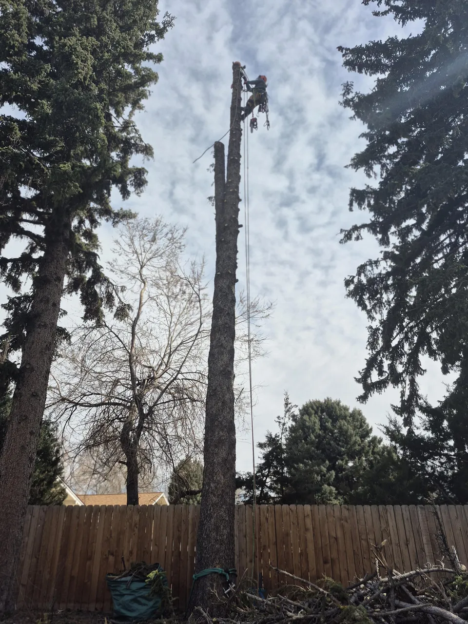 Large lot clearing project
