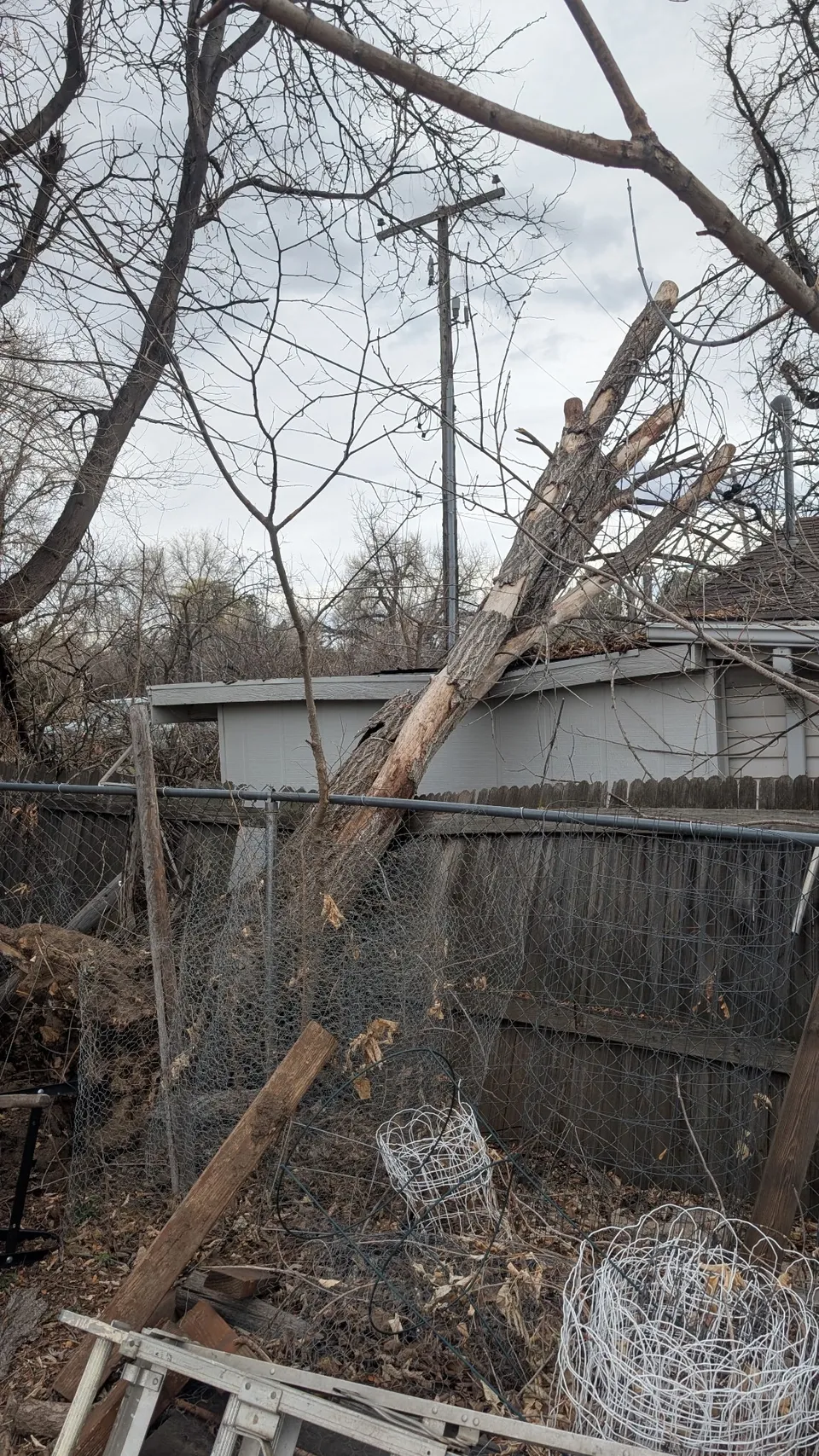 Storm damage tree cleanup on a residential property