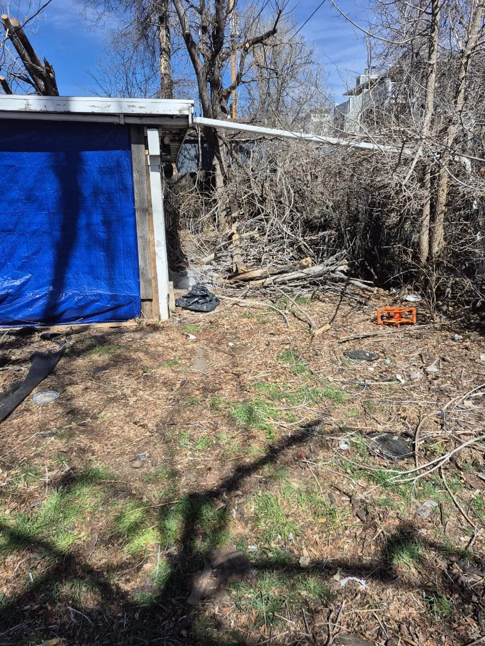 Storm-dropped limb across a shed roof with scattered branch debris