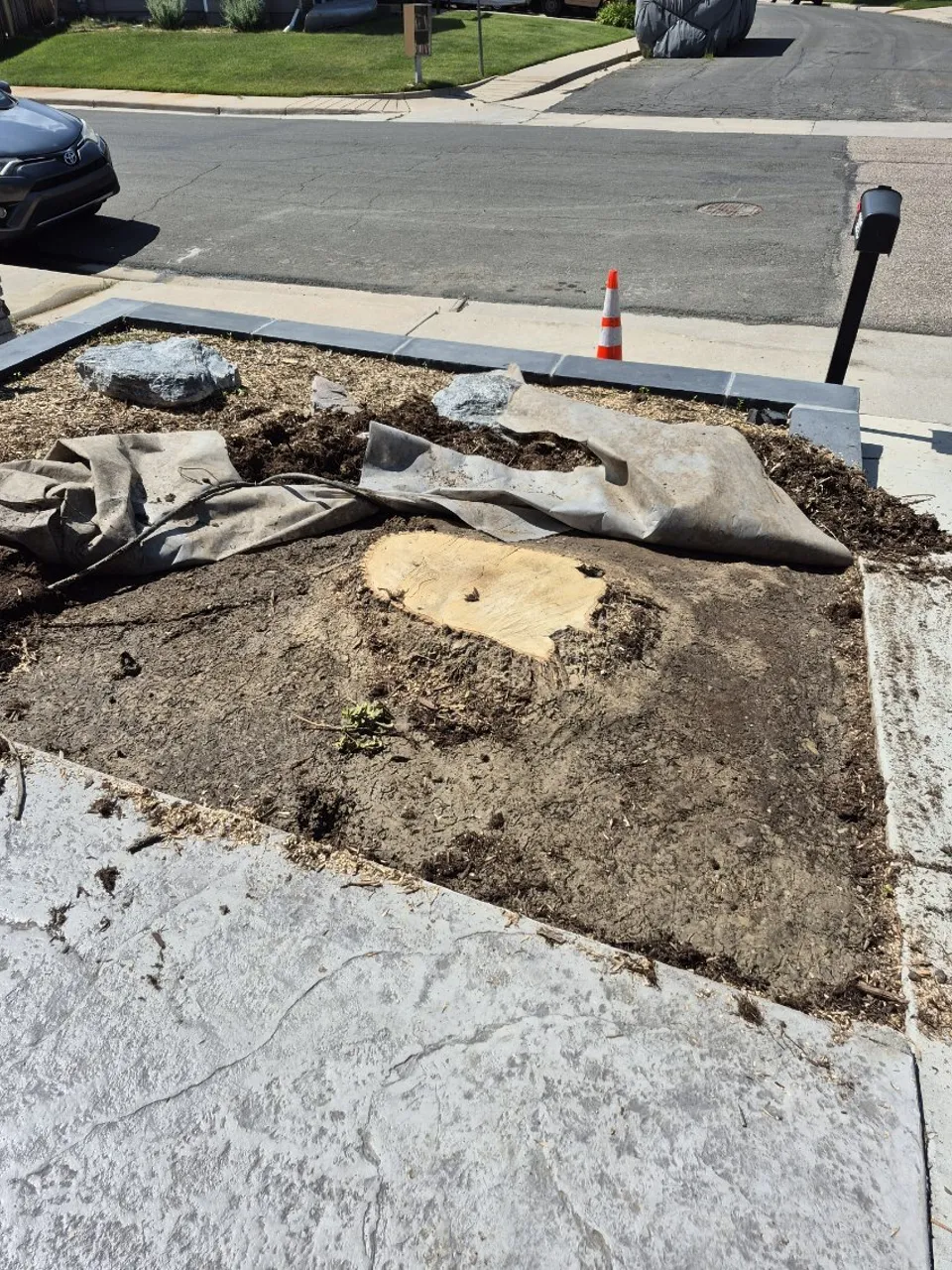 Freshly ground stump and grindings beside a Colorado driveway