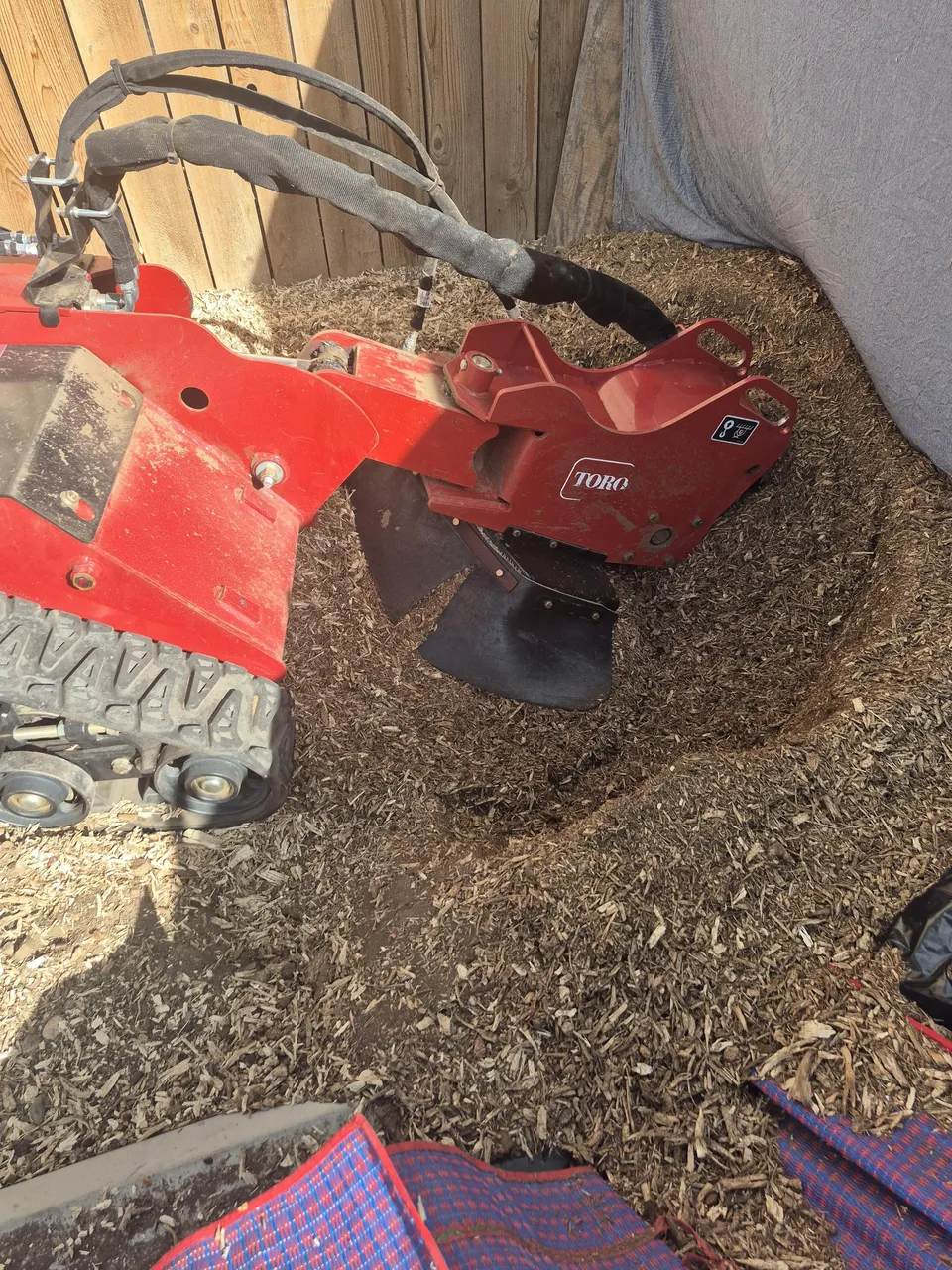Stump removal result — clean ground