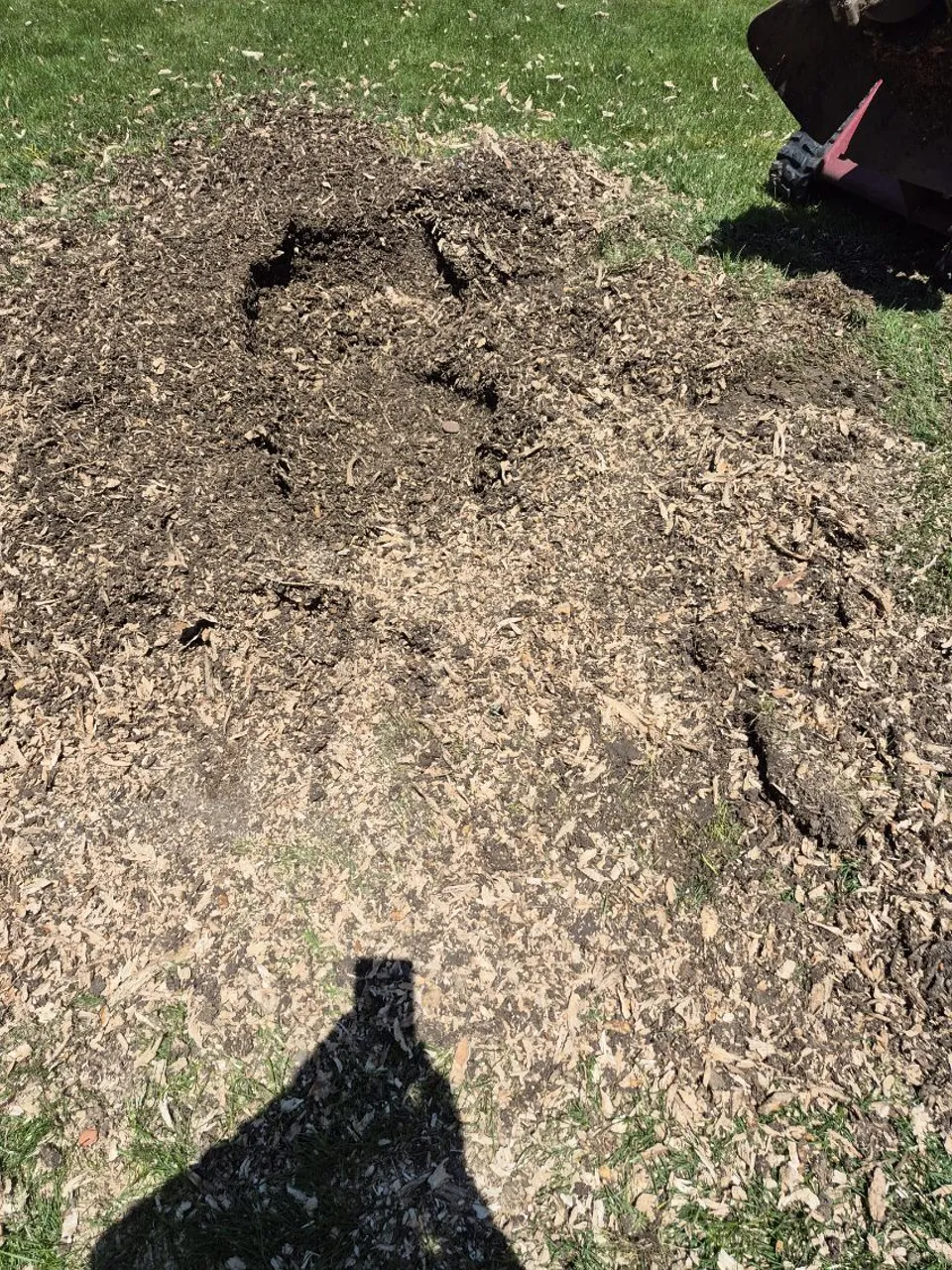 Mound of fresh stump grindings ready for backfill or mulch