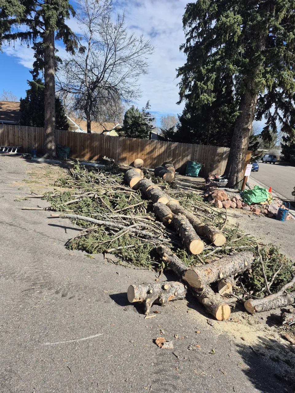 Tree removal crew working on a residential lot in Northglenn, Colorado