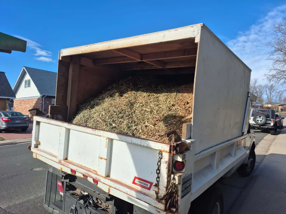 Alpenglow truck loaded with fresh wood chips and mulch from a chipping job